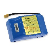 Batterie Li-ion 36v 4.4AH für Overboard (11GD-10S2P )